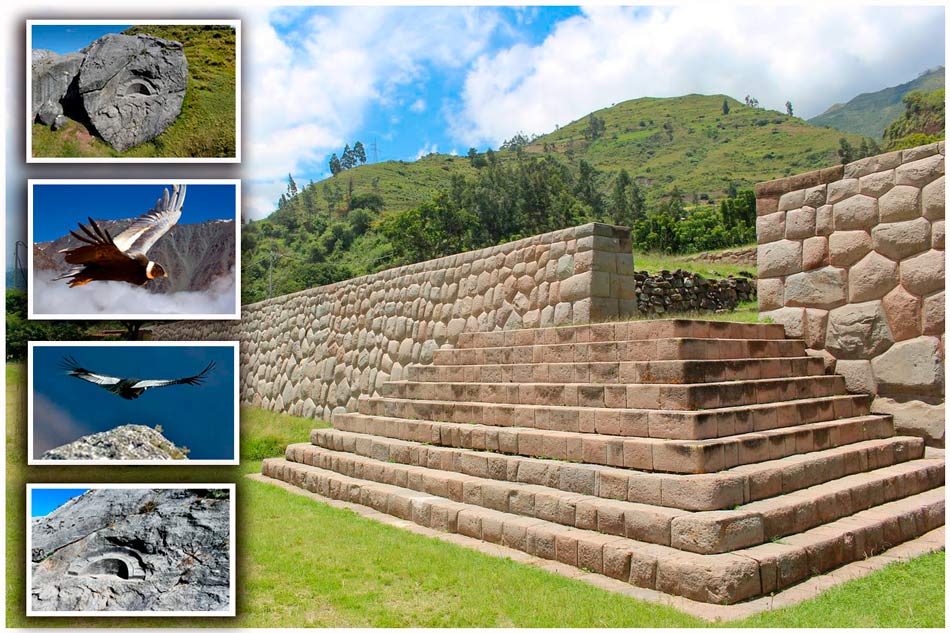 cusco-canyon-chonta-condor